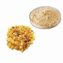 Frankincense Extract Powder-65% Frankincic Acid