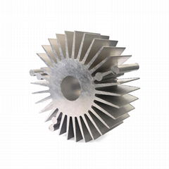 Ruiquan sunflower shape extrusion