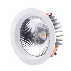 LED Downlight DTF Series  custom Color LED Downlight price