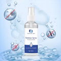 Hand Sanitizer spray Disinfection liquid Sanitizer 2