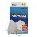 4 Ply PM2.5 Protective Face Mask