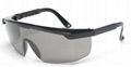 FBKS1002 Anti Fog Glasses Anti Virus