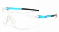 FBKS3006 Safety Glasses Anti fog Eye