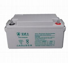 金武士PW65-12 免維護鉛酸蓄電池