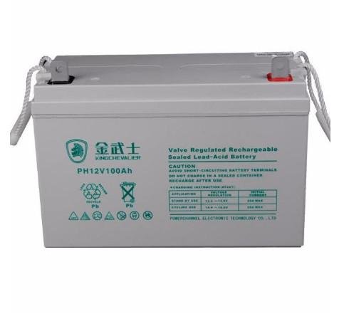 金武士PW65-12 免維護鉛酸蓄電池 3