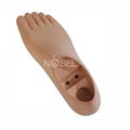 Prosthetics single axis foot with 2 holes