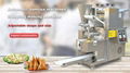 Produce Special Dumpling machine