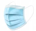 Disposable Protective Mask(3 layers) 1