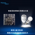 智能語音識別燈具控制解決方案