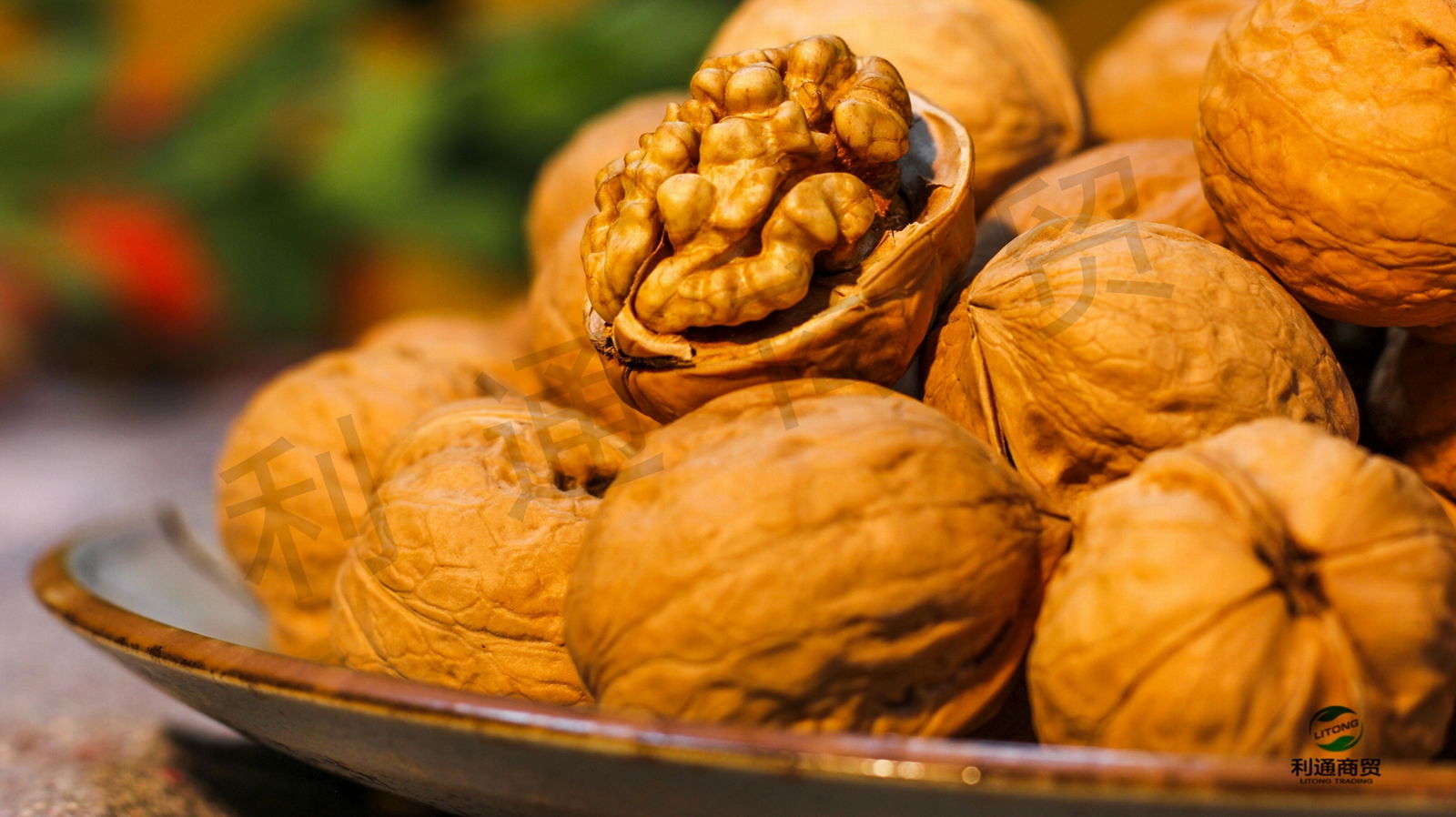 Bulk supply Xinjiang 185 walnut 2
