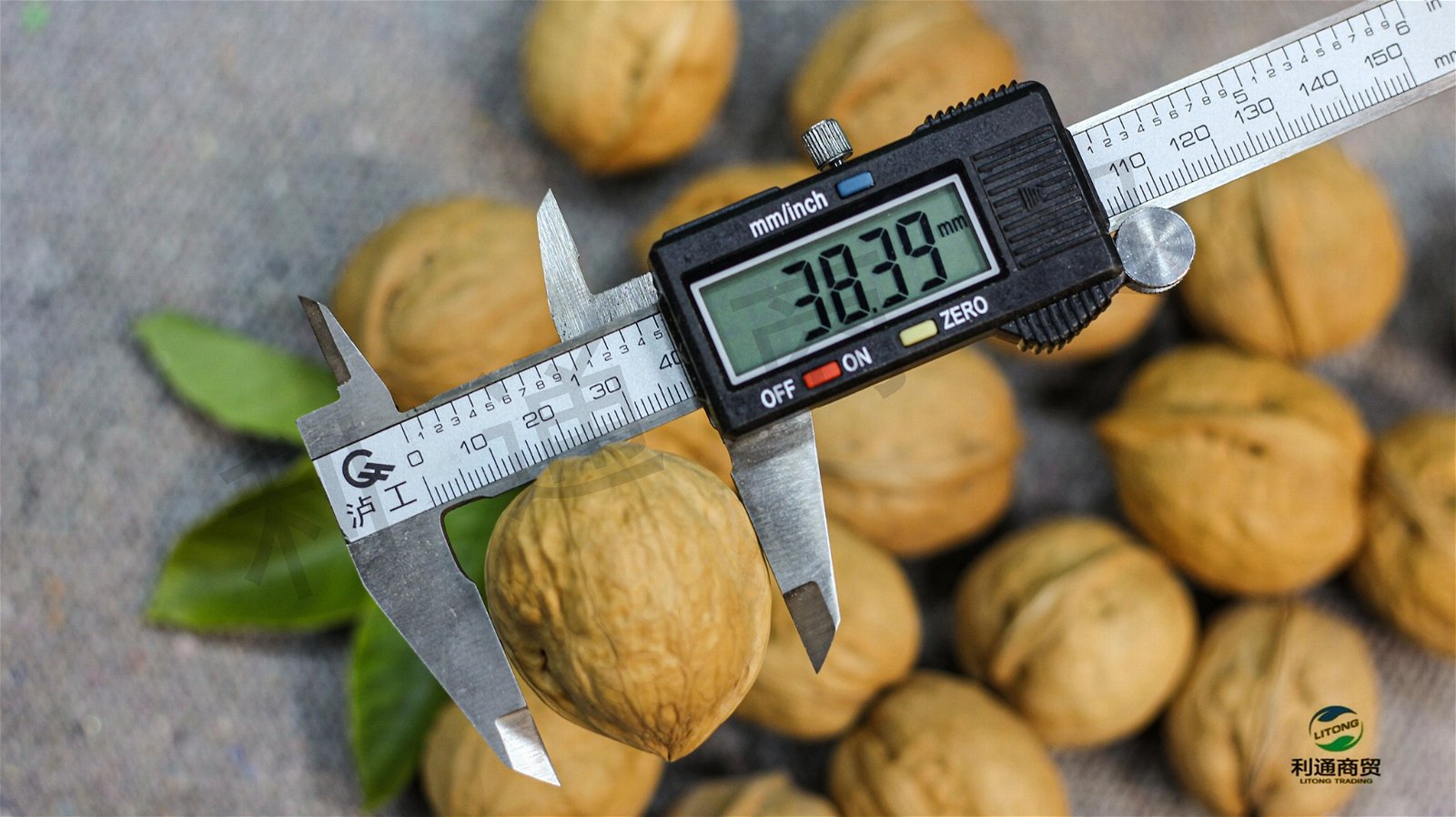 Bulk supply Xinjiang 185 walnut 3