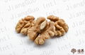 Bulk supply of fresh Xinjiang zaguo walnuts 1