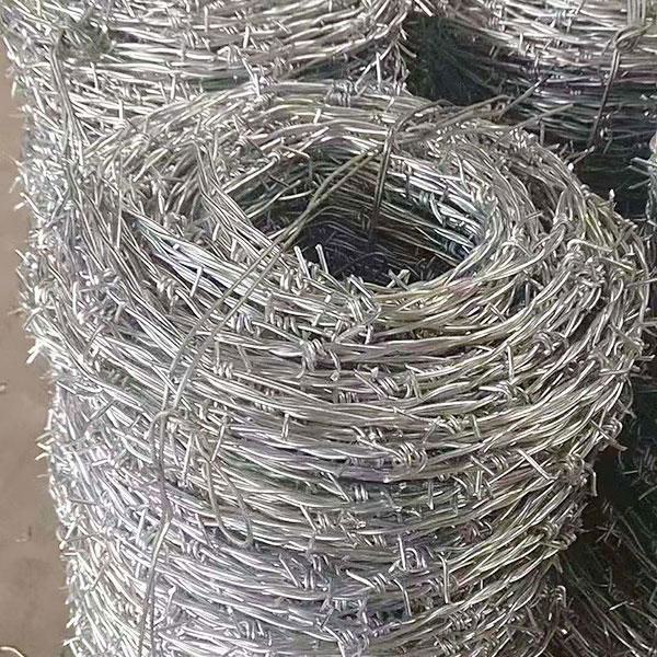 Barbed Wire 5