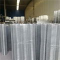 Galvanized Welded Wire Mesh 1