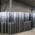 Galvanized Welded Wire Mesh 2