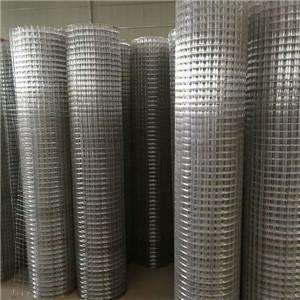 Galvanized Welded Wire Mesh 3