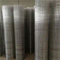 Galvanized Welded Wire Mesh 3