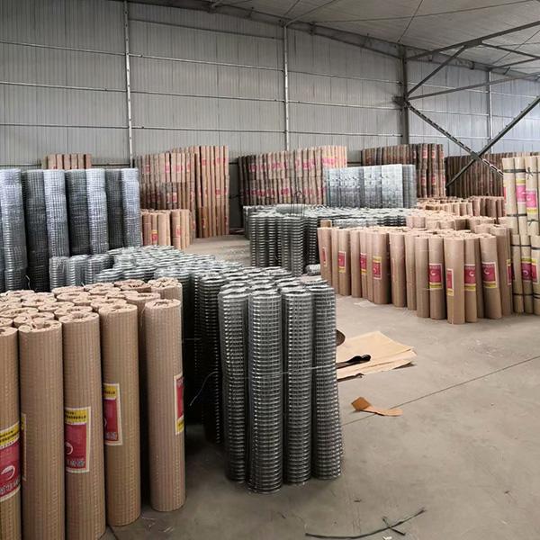 Galvanized Welded Wire Mesh 5