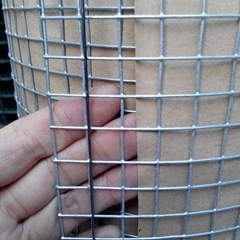 Hot Galvanized Welded Wire Mesh