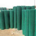 PVC Coated Welded Mesh 3