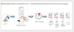 coronavirus test kit