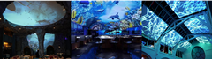  珠海5D全息沉浸式餐厅 4