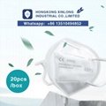 5 Ply KN95 Disposable Protective Mask Elastic Earloop 3D  
