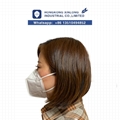 Virus Protective KN95 Disposable Face Mask     3