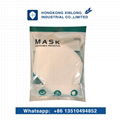 White N95 Face Disposable Protective Mask Manufacturer 3