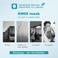 White N95 Face Disposable Protective Mask Manufacturer 6