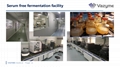 2019-nCoV IgG / IgM Detection Kit Colloidal Gold-Based 14