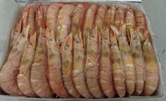 RED SHRIMP (HOSO) whole premium