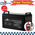 Csbattery 12V100ah SLA AGM Battery for Telecom-System/Medical-Equipment/Electric