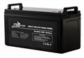 Csbattery 12V100ah Solar Storage AGM Battery  2