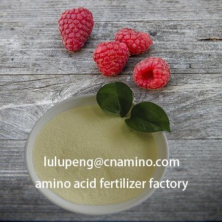 amino acid based organic fertilizer-Grow Nutrition