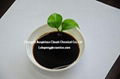 Hydrolyzed Proteins Based Organic Fertilizer amino acid liquid 1