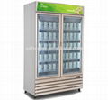Supermarket glass door upright display freezer for Ice cream and Frozen 2