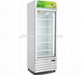 Supermarket glass door upright display freezer for Ice cream and Frozen 4