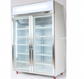 -18~ -23C Supermarket commercial upright Vertical glass door display freezer