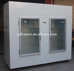 2 glass or solid door Ice bagging storage bin Outdoor indoor Ice merchandiser