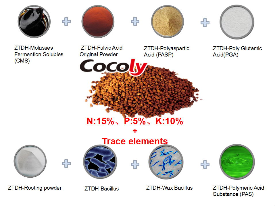 NPK Cocoly Compound Fertilizer+TE  2