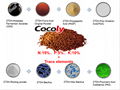 NPK Cocoly Compound Fertilizer+TE  2