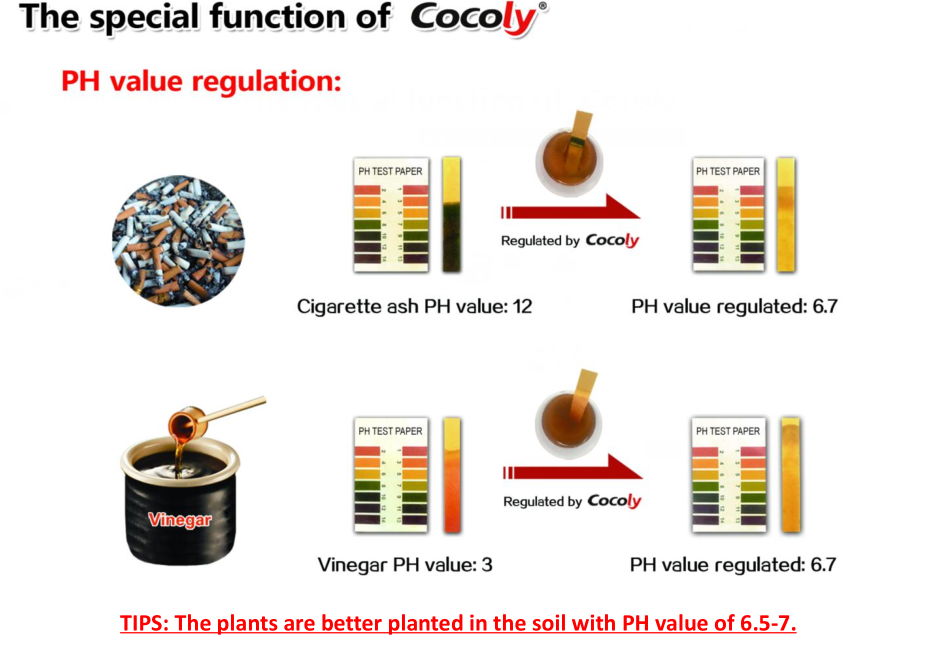 Food Grade Condensed Molasses Organic  Cocoly Fertilizers 4