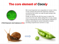 Cocoly Humic Acid Fertilizer 3