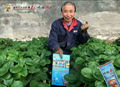 Cocoly Humic Acid Fertilizer 4