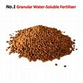 Cocoly Granular Water-Soluble Fertilizer With Animo Oligosaccharin 2