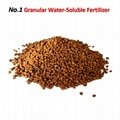 Cocoly Brown Granular Water-Soluble Fertilizer With Animo Oligosaccharin