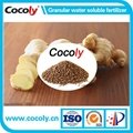 Cocoly Brown Granular Compound Fertilizer With High-Quality Nutrients