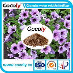 Cocoly NPK Compound Fertilizer in Brown