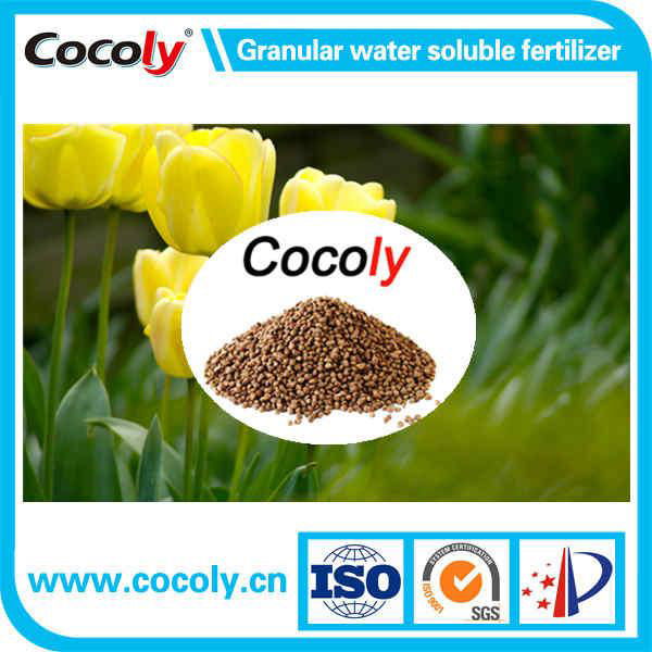 Cocoly NPK Compound Fertilizer in Brown Granular Shape 5